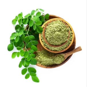  Moringa oleifera, belonging to the family Moringaceae. Known frequently as the "drumstick tree.